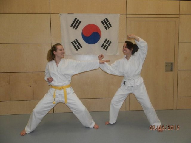 Taekwondo Training